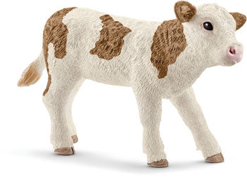 SC13802 Simmental Fleckvieh Calf